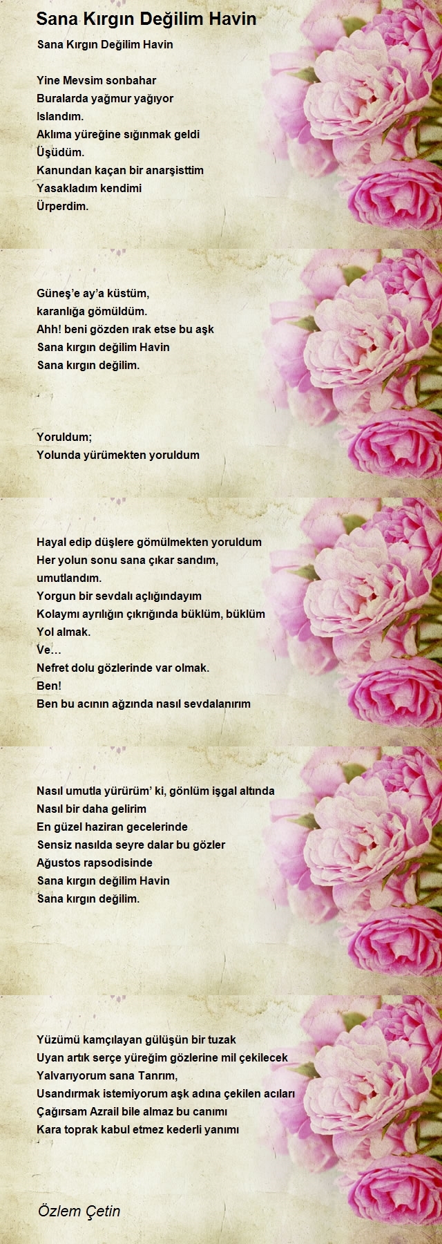 Özlem Çetin