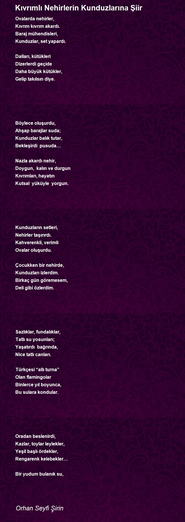 Orhan Seyfi Şirin