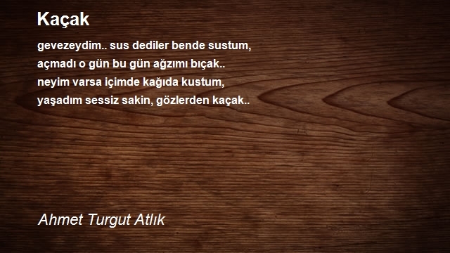 Ahmet Turgut Atlık
