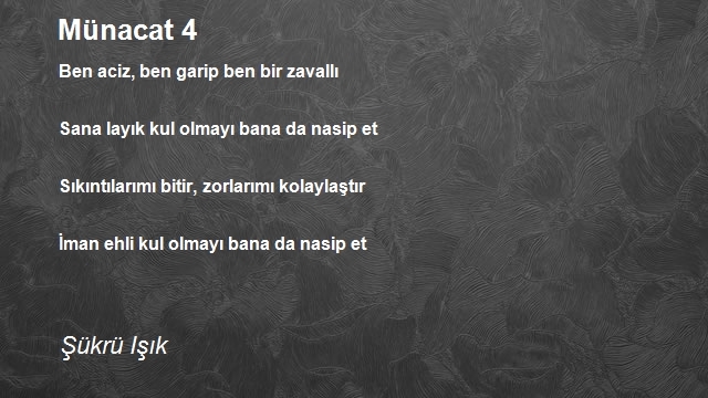 Şükrü Işık