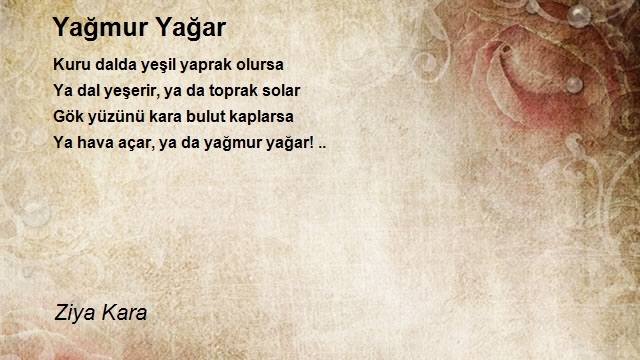 Ziya Kara