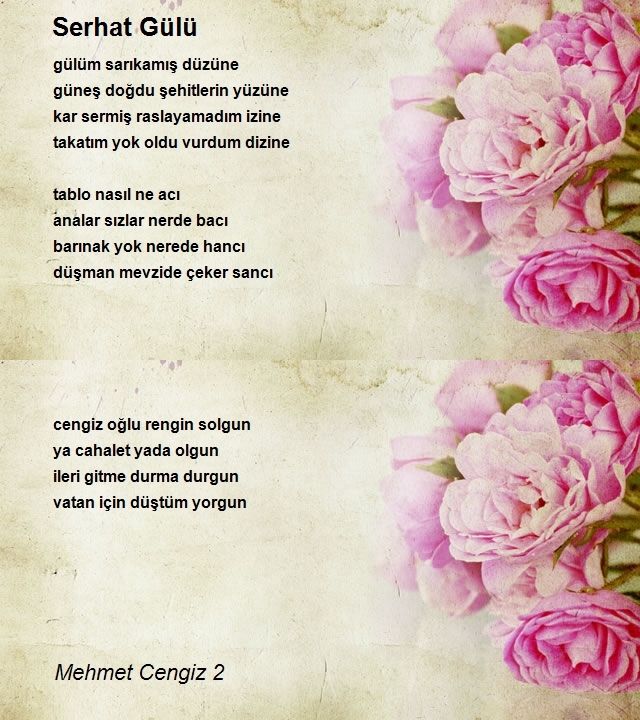 Mehmet Cengiz 2