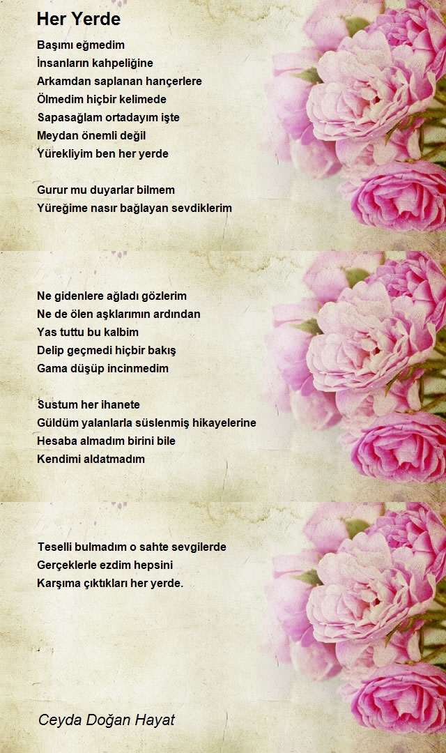 Ceyda Doğan Hayat