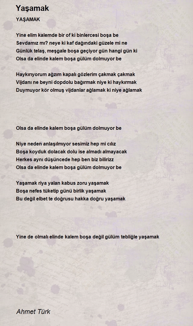 Ahmet Türk