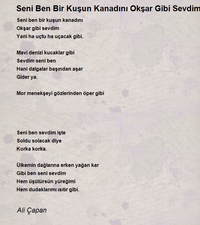 Ali Çapan