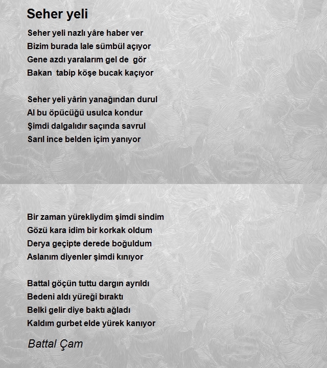 Battal Çam