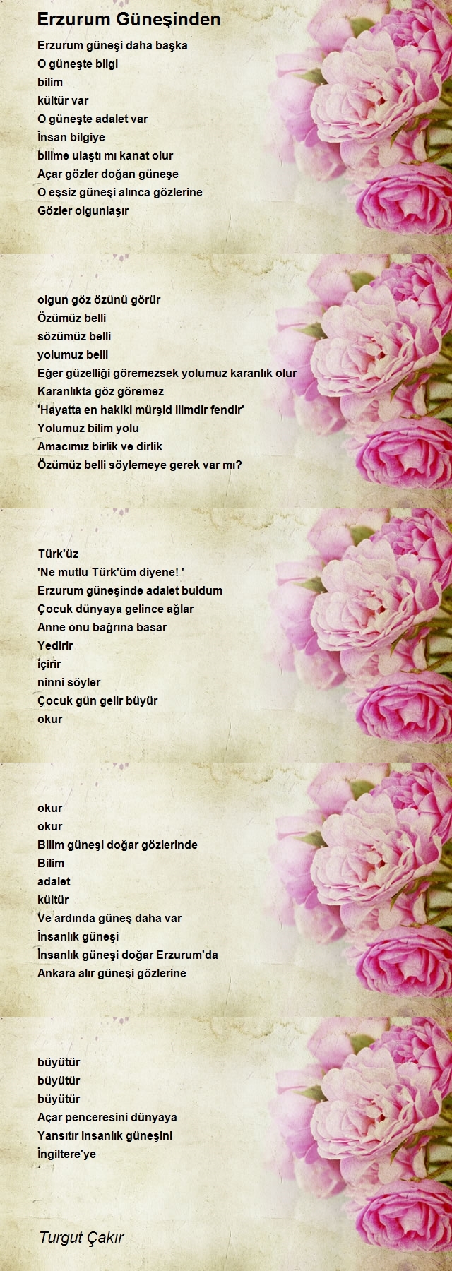 Turgut Çakır
