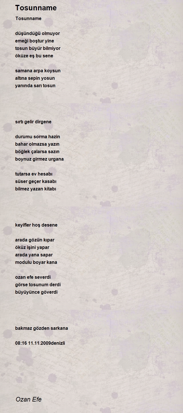 Ozan Efe