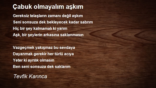 Tevfik Karınca