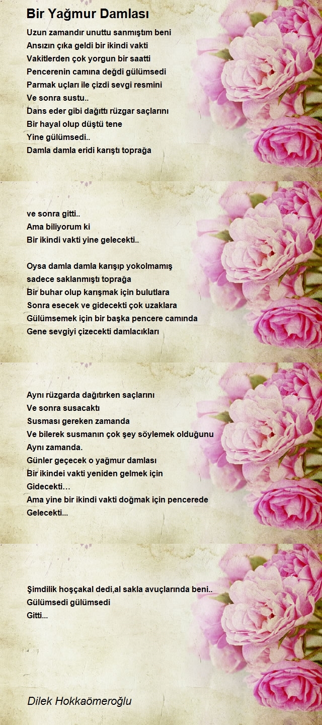 Dilek Hokkaömeroğlu