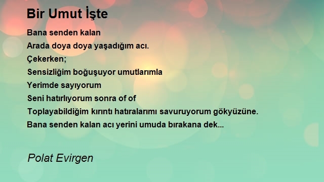 Polat Evirgen