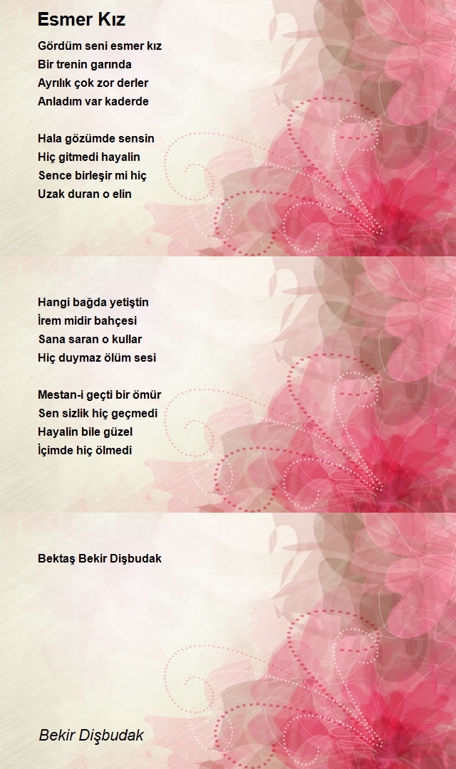 Bekir Dişbudak
