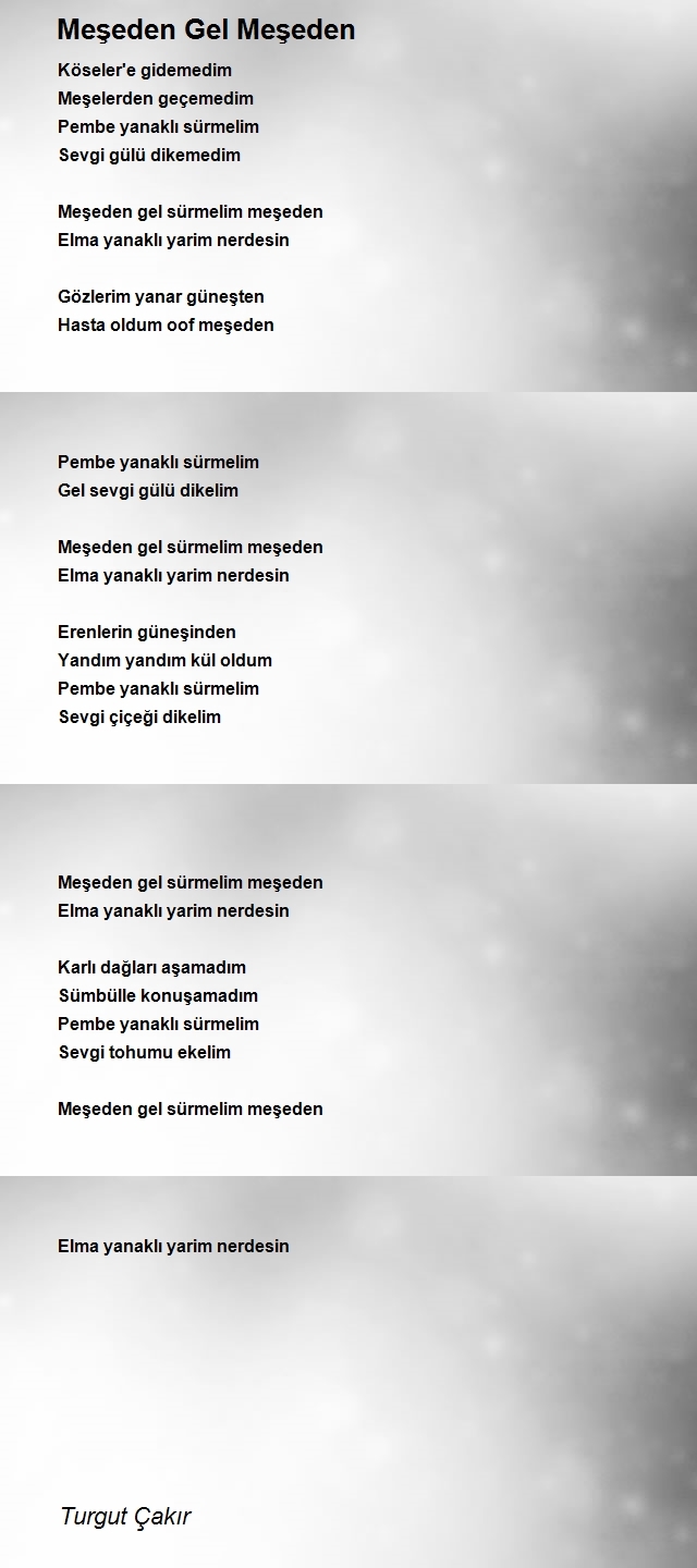 Turgut Çakır