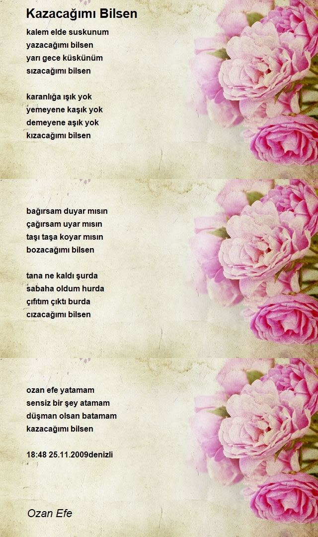 Ozan Efe
