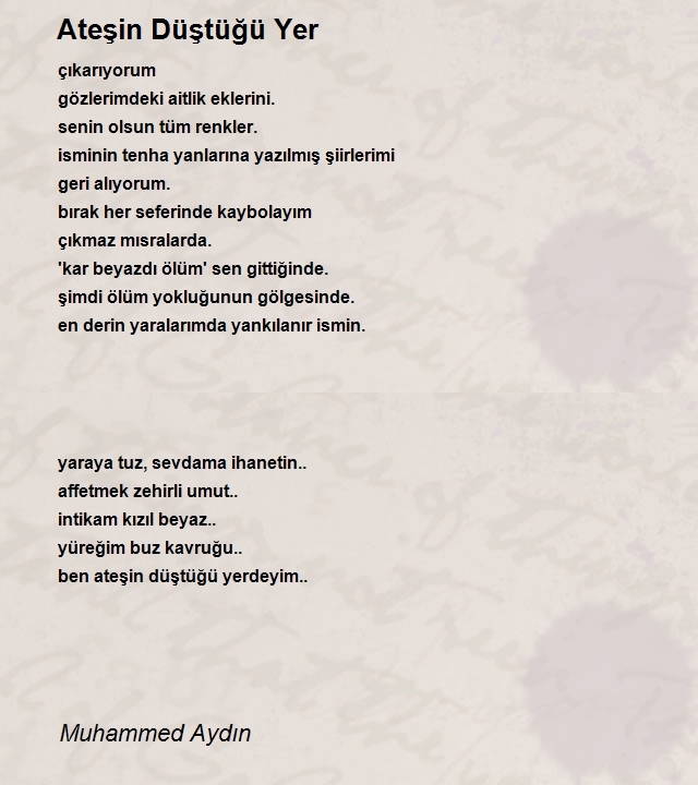 Muhammed Aydın
