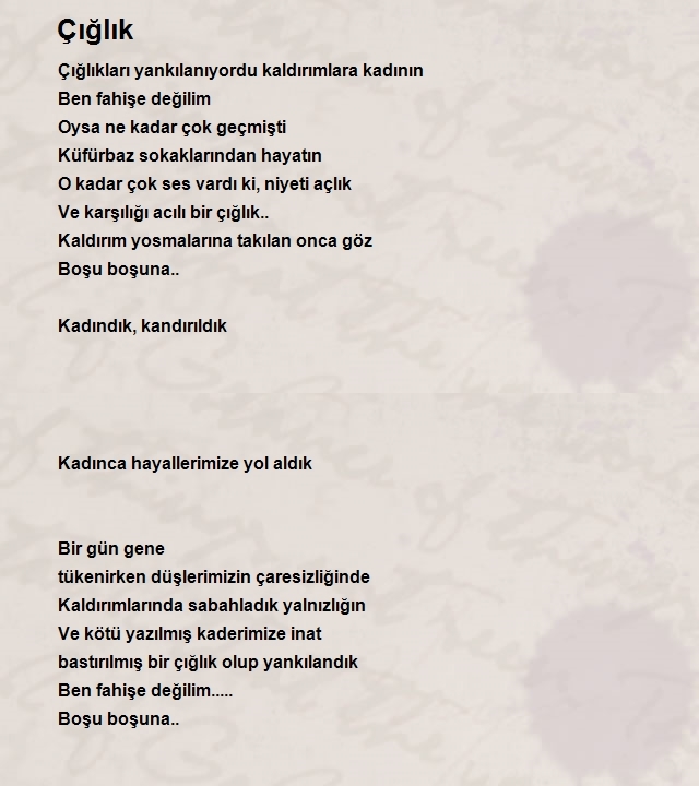 Dilek Hokkaömeroğlu