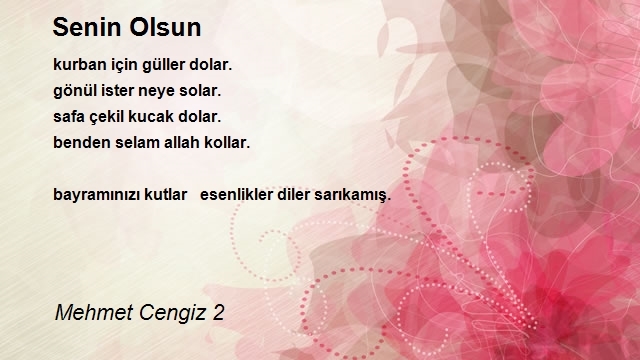 Mehmet Cengiz 2