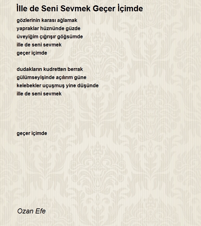 Ozan Efe
