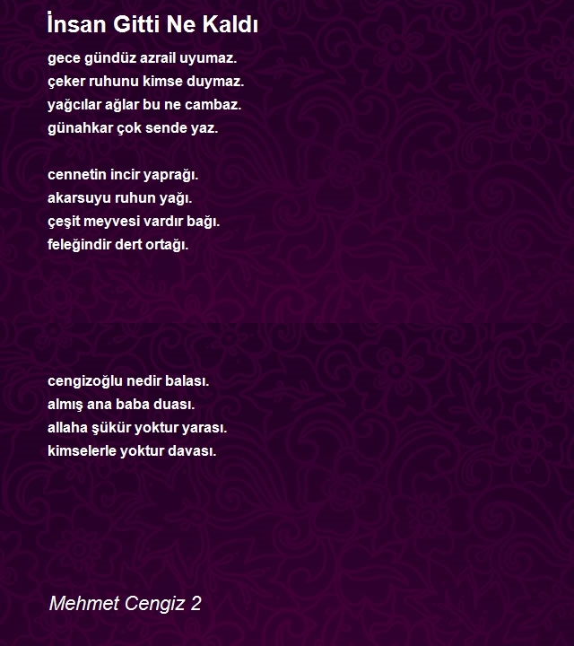 Mehmet Cengiz 2