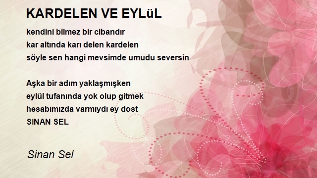 Sinan Sel