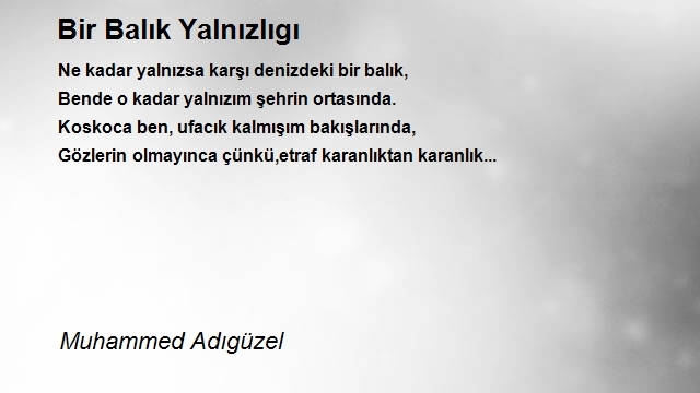 Muhammed Adıgüzel