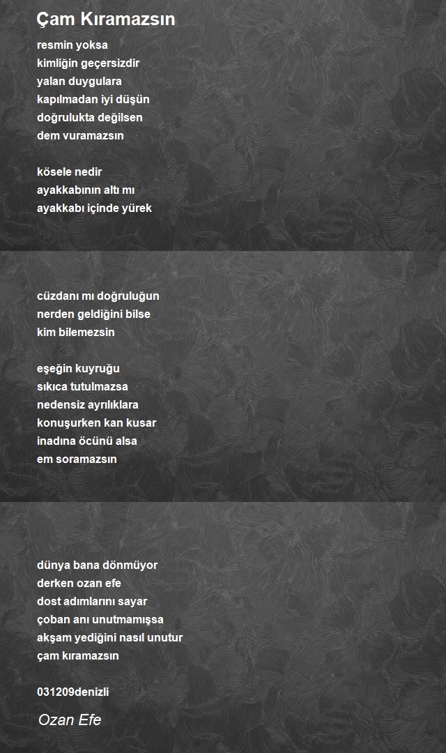 Ozan Efe