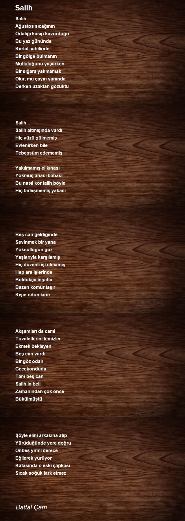 Battal Çam
