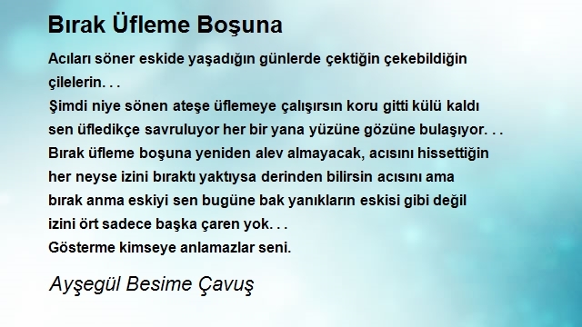 Ayşegül Besime Çavuş