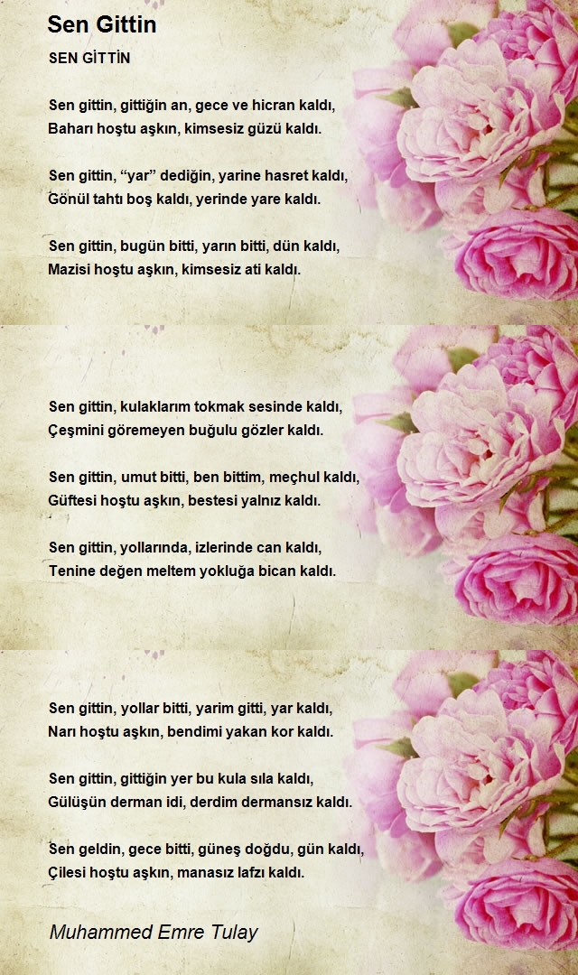 Muhammed Emre Tulay