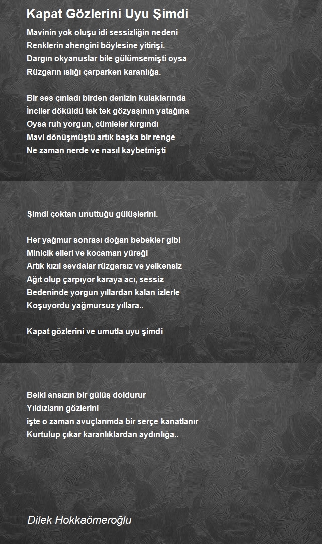 Dilek Hokkaömeroğlu