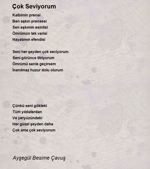 Ayşegül Besime Çavuş