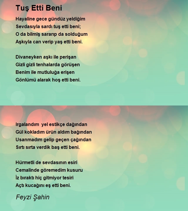 Feyzi Şahin