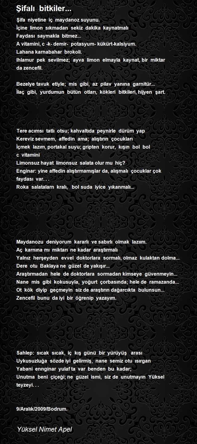 Yüksel Nimet Apel