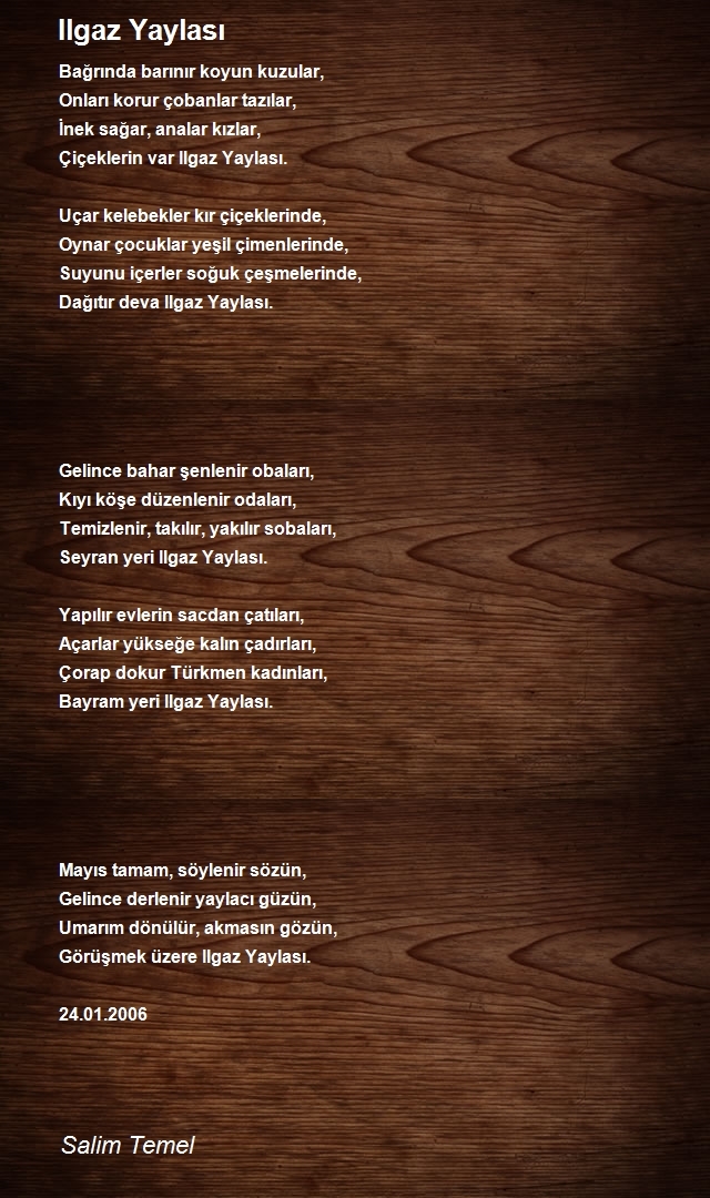 Salim Temel