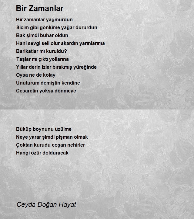 Ceyda Doğan Hayat