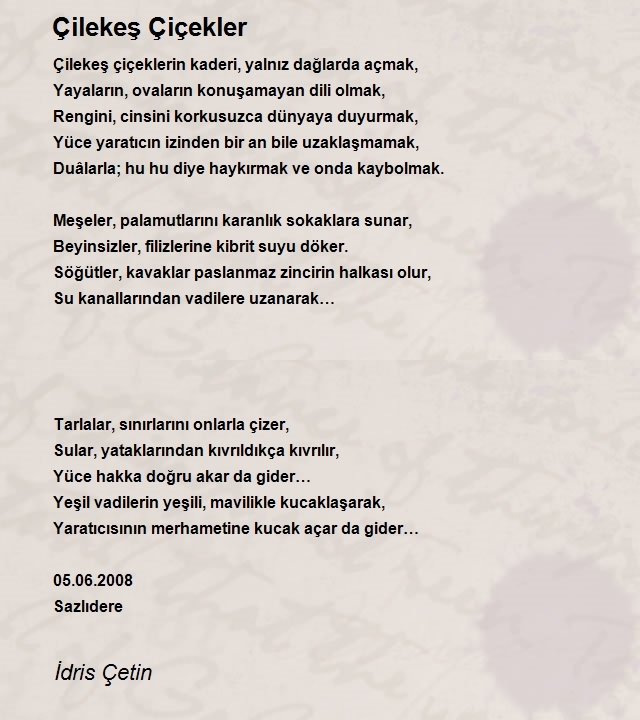 İdris Çetin