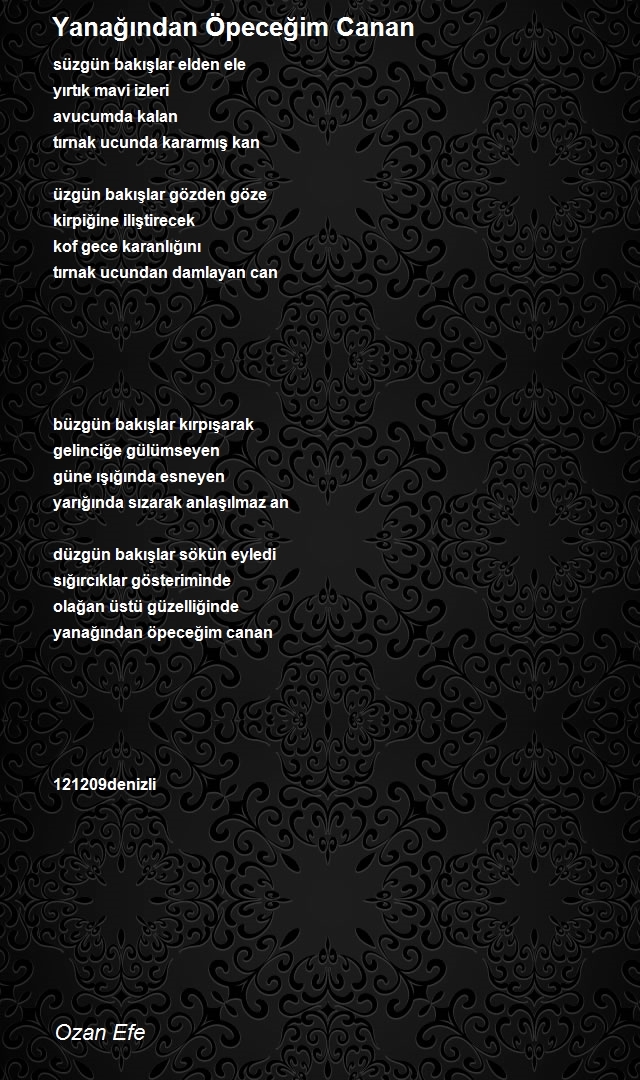 Ozan Efe