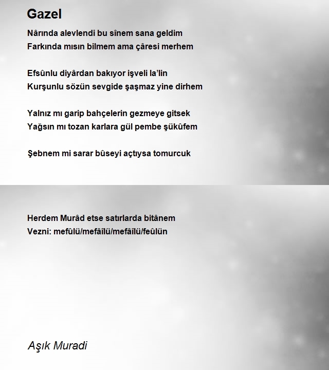 Aşık Muradi