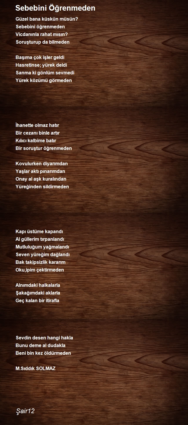 Şair Şair12