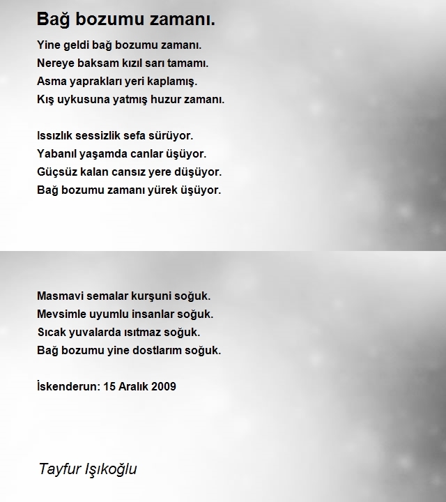 Tayfur Işıkoğlu