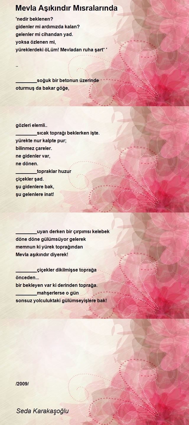 Seda Karakaşoğlu