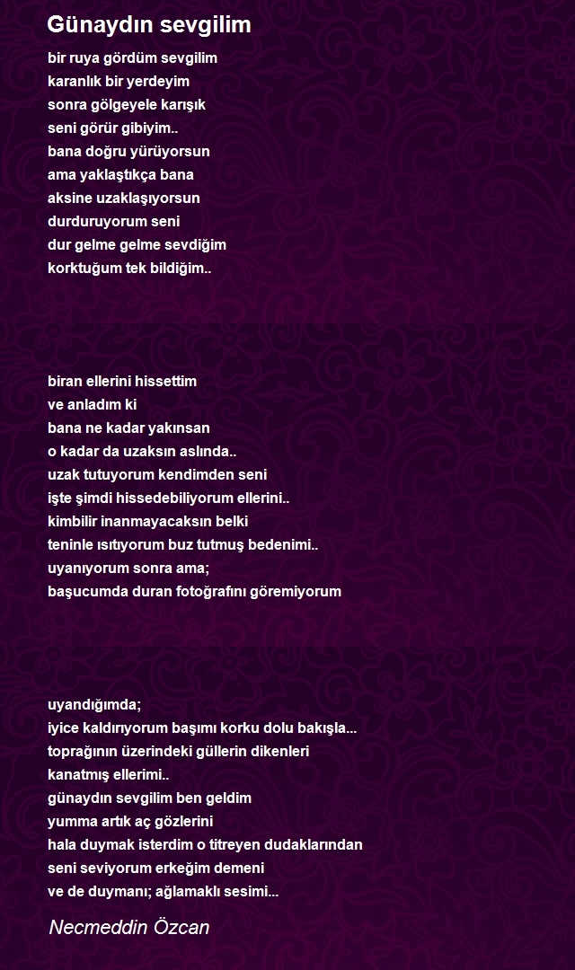 Necmeddin Özcan