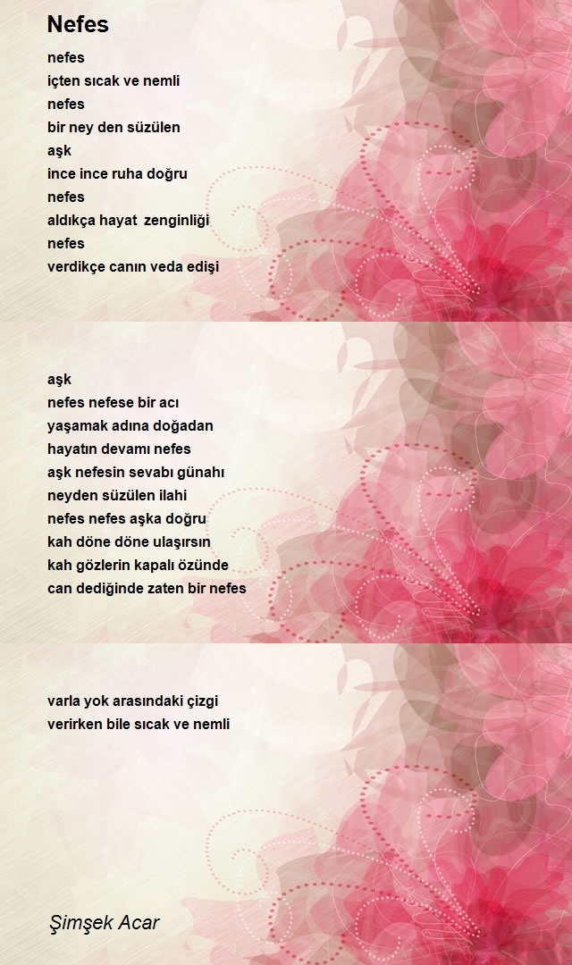 Şimşek Acar
