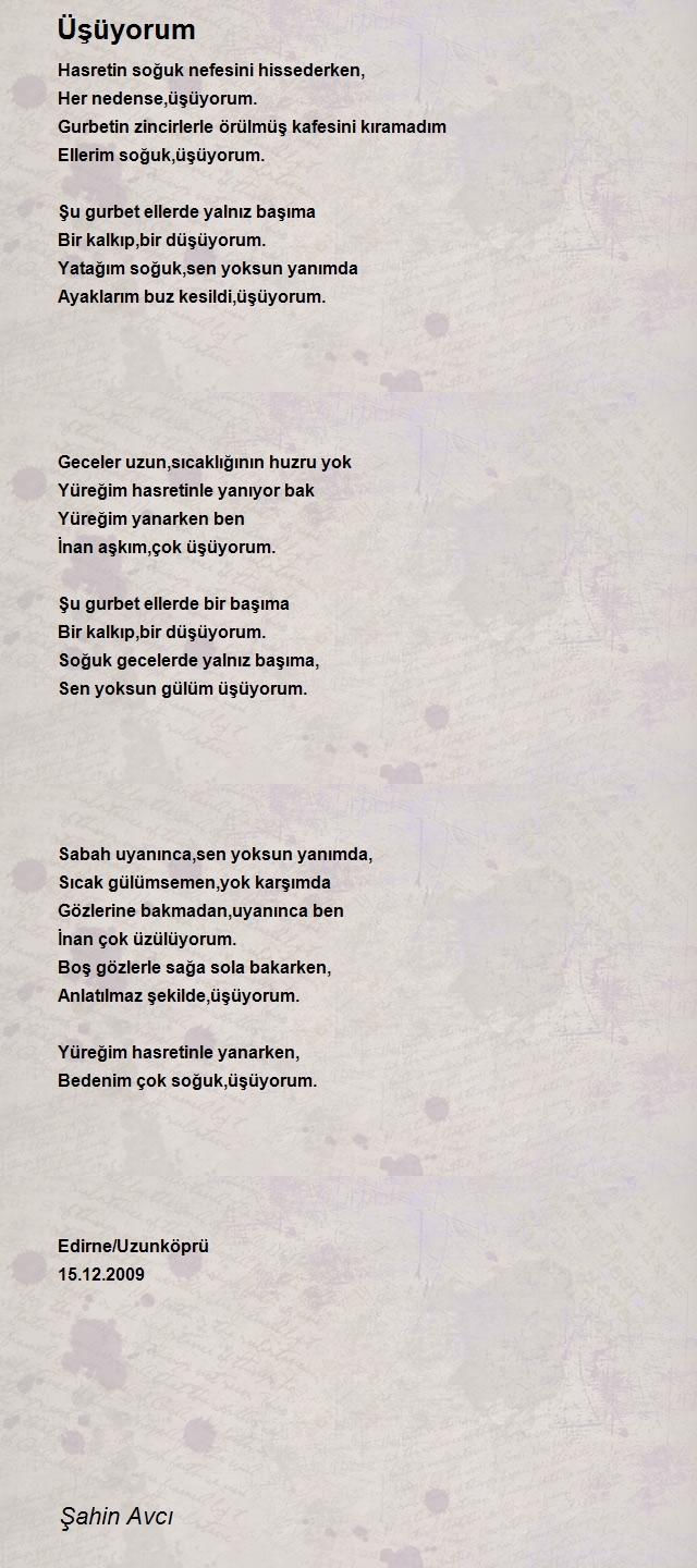 Şahin Avcı