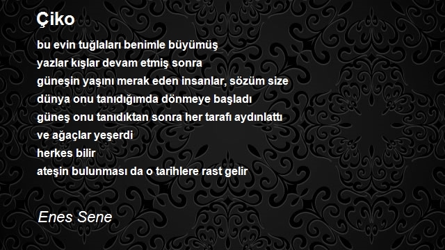 Enes Sene