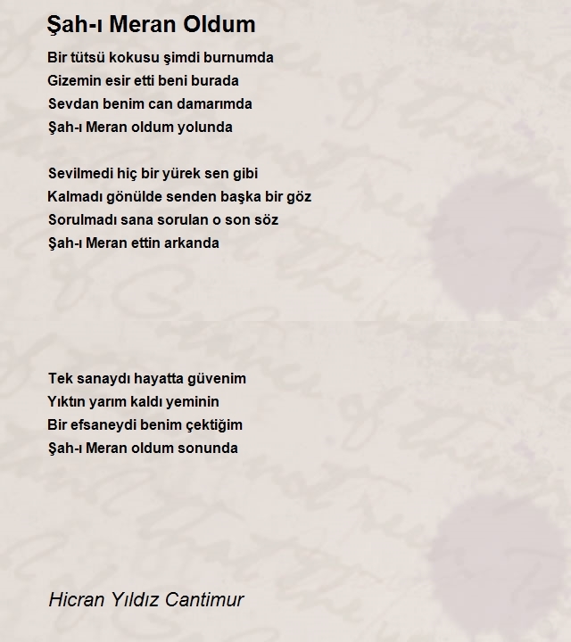 Hicran Yıldız Cantimur