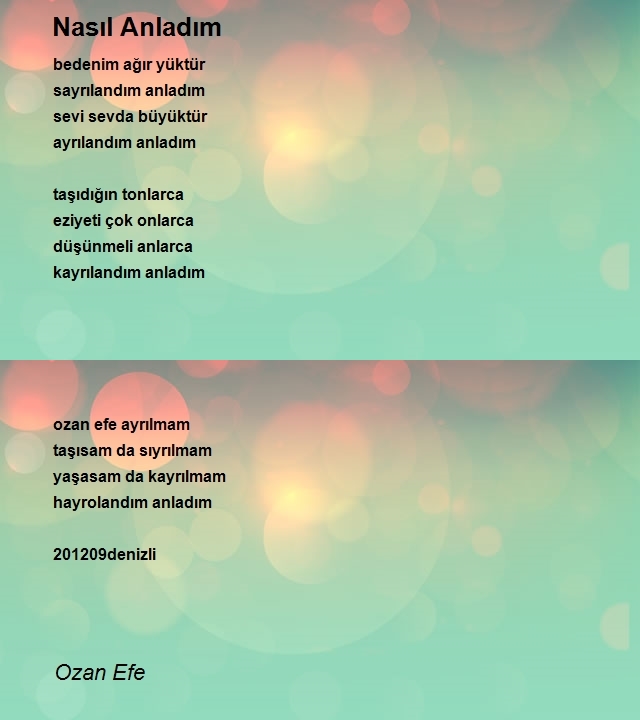 Ozan Efe