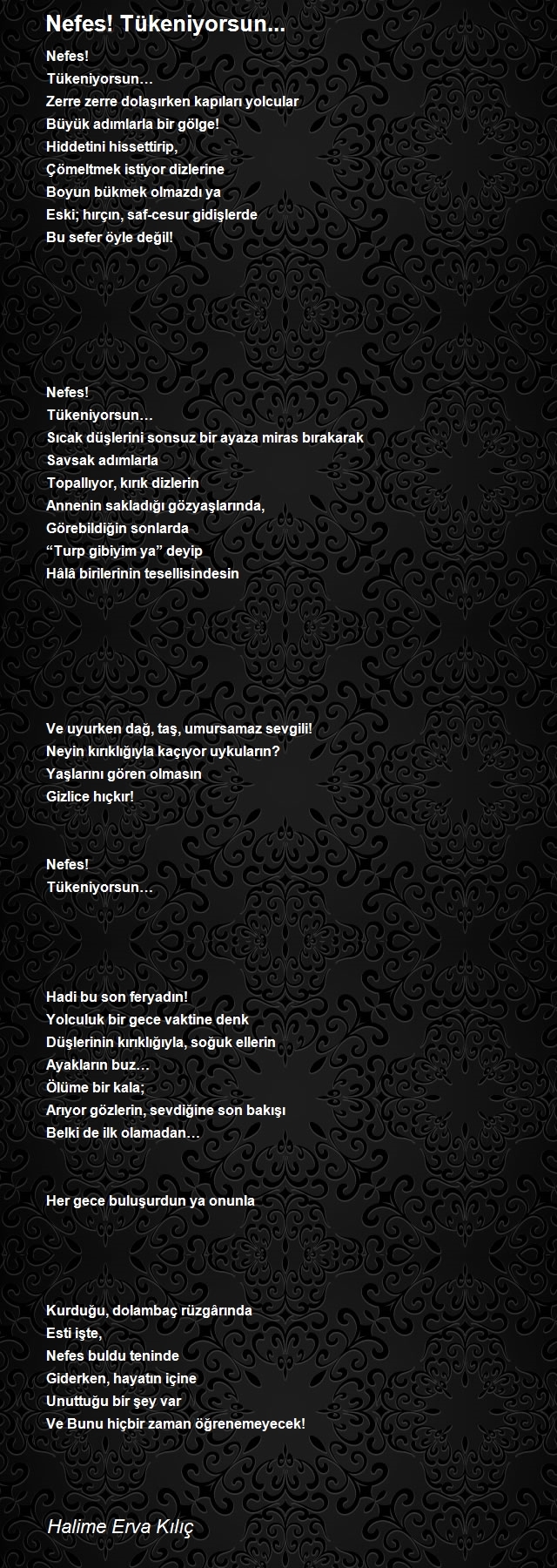 Halime Erva Kılıç
