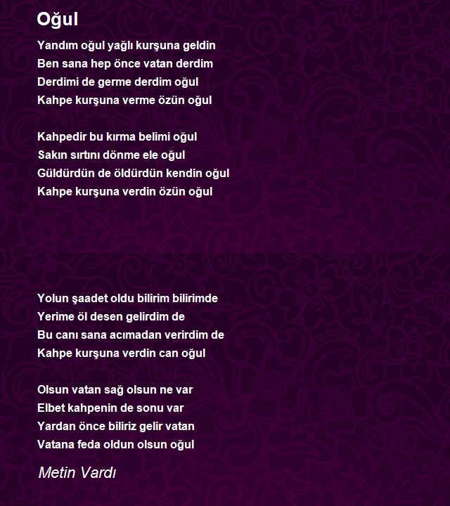Metin Vardı