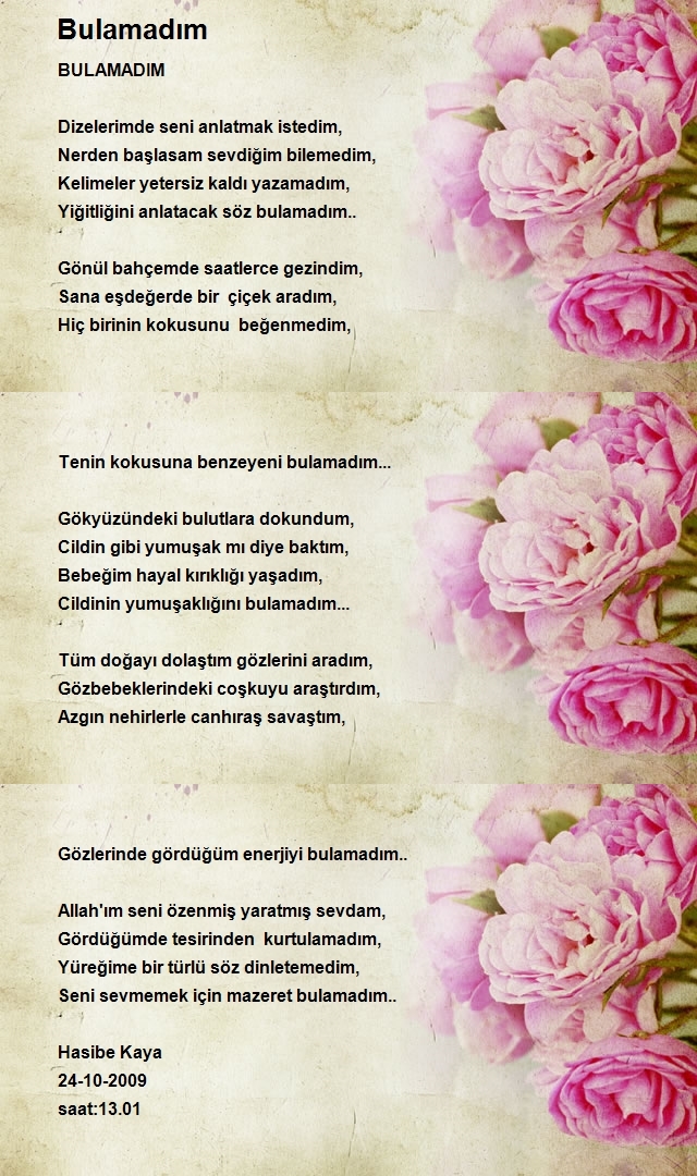 Hasibe Kaya 2